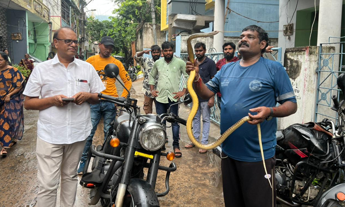  Person Bathed The Snake In Visakha Marripalem Details, Snake Bath, Bathed Snake,-TeluguStop.com