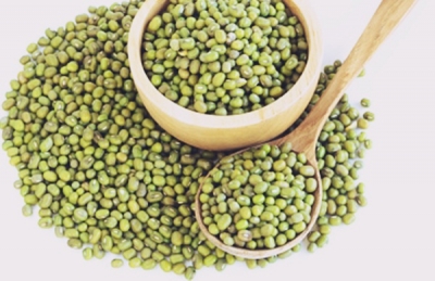 Purchase Limit Of Moong, Urad Under Price Support Scheme Raised For Mp Farmers Purchase Limit Of Moong, Urad Under Price Support Scheme Raised For Mp Farmers-TeluguStop.com