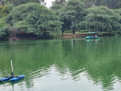  Sanjay Lake Returns To Life, Becomes Magnet For Tourists And Migratory Birds-TeluguStop.com