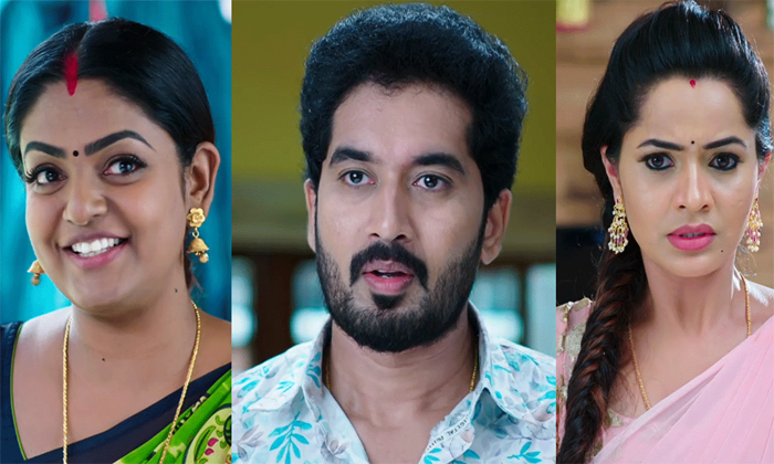 Telugu Audience, Channels, Directors, Karthika Deepam, Season, Serials-Movie