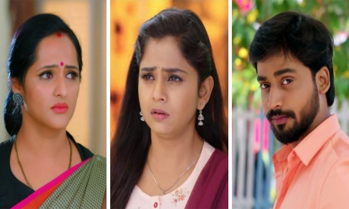 Telugu Audience, Channels, Directors, Karthika Deepam, Season, Serials-Movie