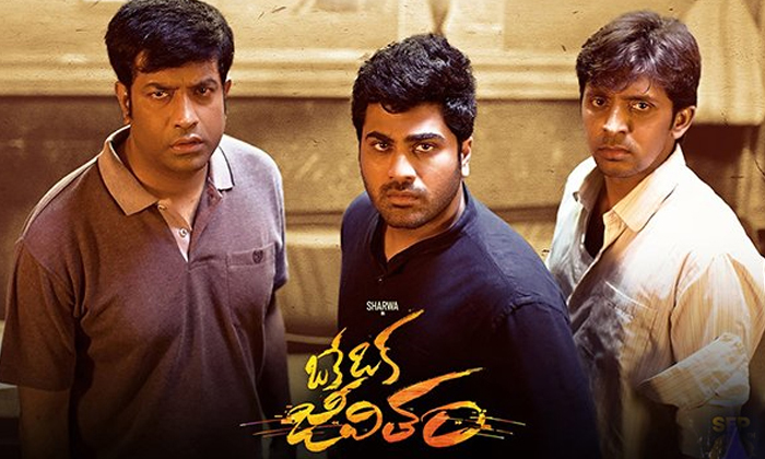  Sharvanand Oke Ok Jeevitham Movie Collections Details, Sharwanand, Oke Oka Jeevi-TeluguStop.com