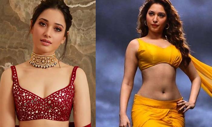  Tollywood Heroine Tamannah Marrige , Tollywood , Tamannaah Marriage, Movie Offe-TeluguStop.com