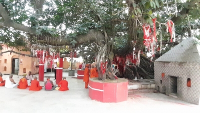This Sprawling Banyan Tree In Gaya Is Most Popular During Pitru Paksha This Sprawling Banyan Tree In Gaya Is Most Popular During Pitru Paksha-TeluguStop.com