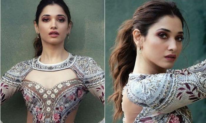 Telugu Bollywood, Tamannah, Milky Tamannaah, Offers, Tamannaah, Tollywood-Movie