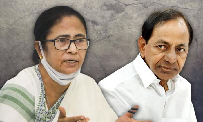 Telugu Aam Adhmi, Kumaraswamy, Tejaswi Yadav, Telangana Cm-Politics