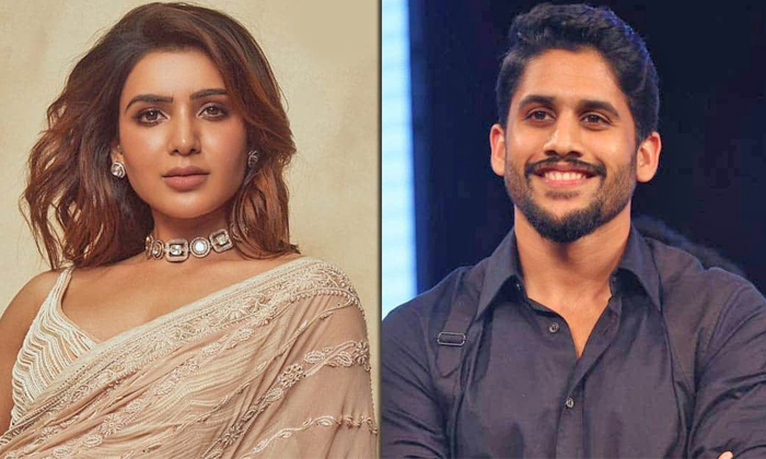 Telugu Akkineni, Akkineni Fans, Naga Chaitanya, Sakunthalam, Samantha, Samanthan Telugu Akkineni, Akkineni Fans, Naga Chaitanya, Sakunthalam, Samantha, Samanthan