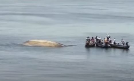  Boat Capsize In Konaseema District.. One Lost-TeluguStop.com