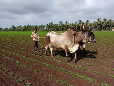  Anantapur District Staff Involvement In E-crop Registration-TeluguStop.com