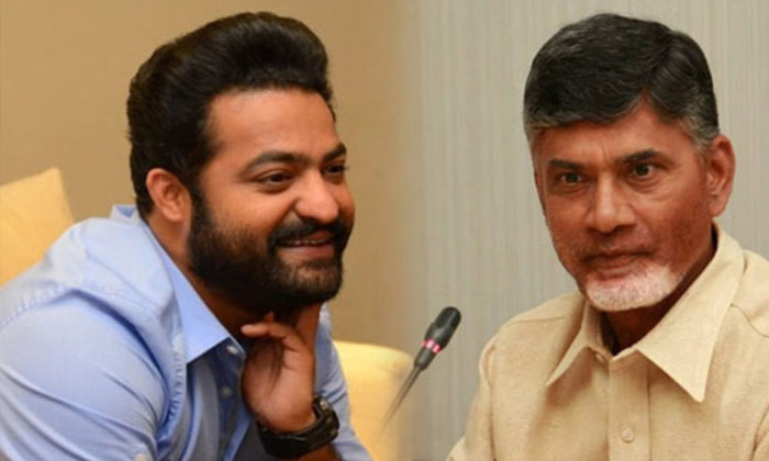  Junior Ntr Into Controversies What Is The Loss Of Tdp Jr Ntr, Tdp, Chandrabab-TeluguStop.com