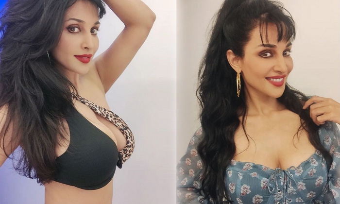 Actress Flora Saini Looks Spicy And Hot In This Pictures - Bikiniimages Florasaini Flora Saini Actressflora High Resolution Photo