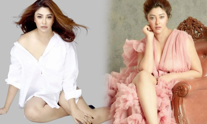 Actress Payal Ghosh Raises Hotness With Her Poses-telugu Actress Photos Actress Payal Ghosh Raises Hotness With Her Pose High Resolution Photo