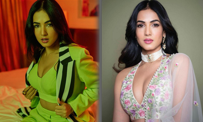 Actress Sonal Chauhan Looks Amazing In This Clicks - Sonalchauhan Actresssonal Sonal Chauhan High Resolution Photo