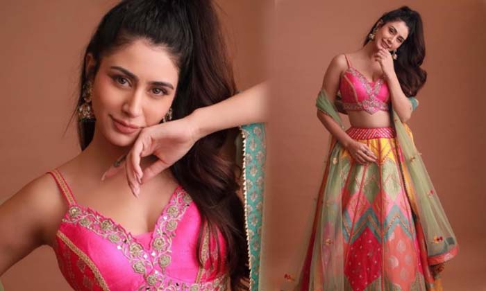 Actress warina Hussain looks Spicy And Romantic In This Images-telugu Actress Photos Actress warina Hussain looks Spicy  High Resolution Photo