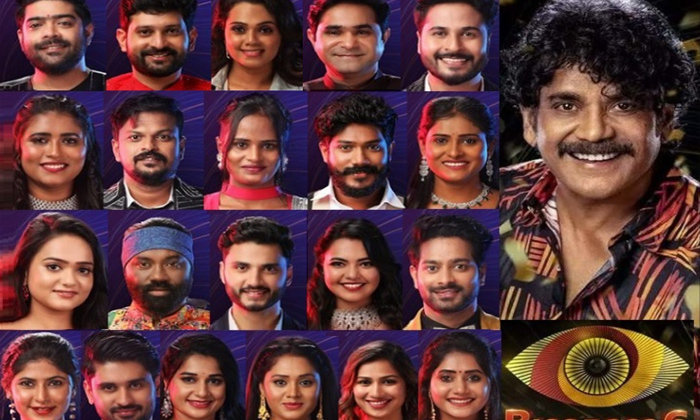  Reasons Of Bigg Boss 6 Season Failure,bigg Boss 6,bigg Boss Telugu,nagarjuna,bb6-TeluguStop.com