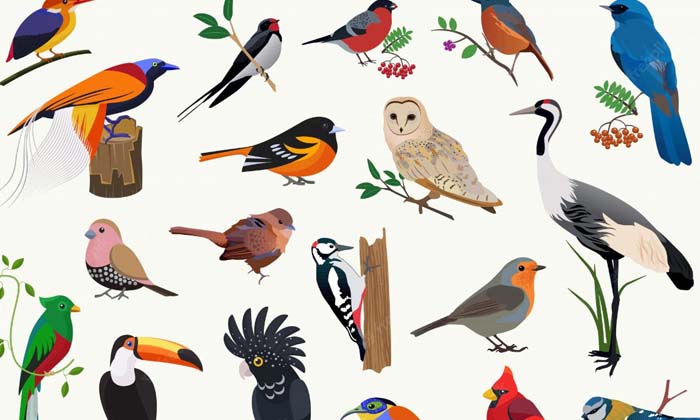 Telugu Goshala, Birds, Latest, Parrots, Punjab, Sparrows-Latest News - Telugu