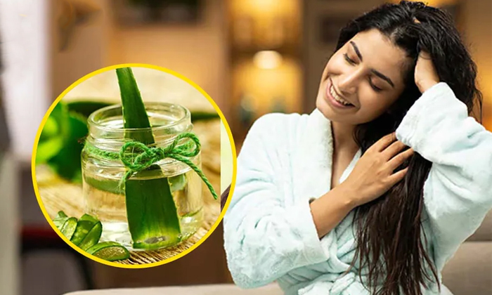  Do You Know How Many Problems Can Be Removed With Aloe Vera Shampoo Details? Alo-TeluguStop.com