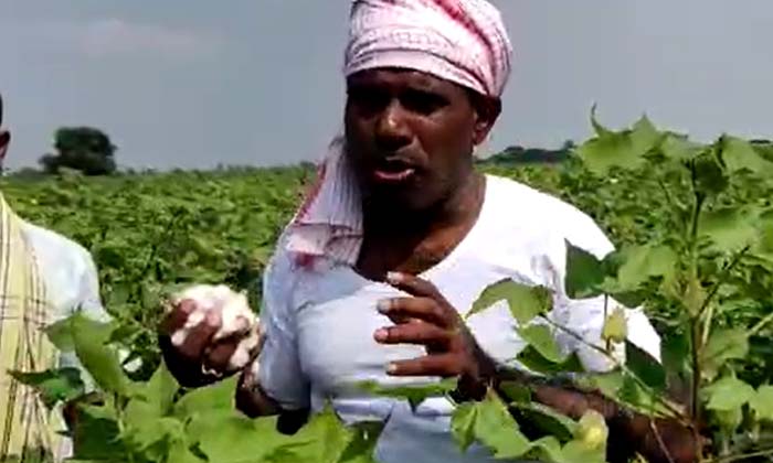  Ka Paul Who Became A Farmer ,ka Paul ,farmer ,nalgonda District ,chandur Mandal,-TeluguStop.com