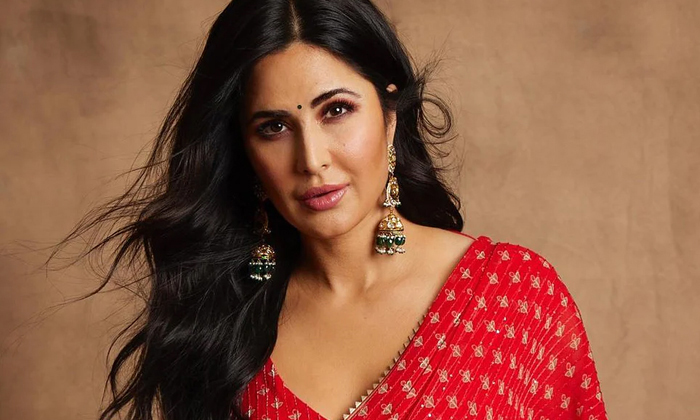  Katrina Kaif Ready To Shake It For A South Film Details, Katrina Kaif, South Ind-TeluguStop.com