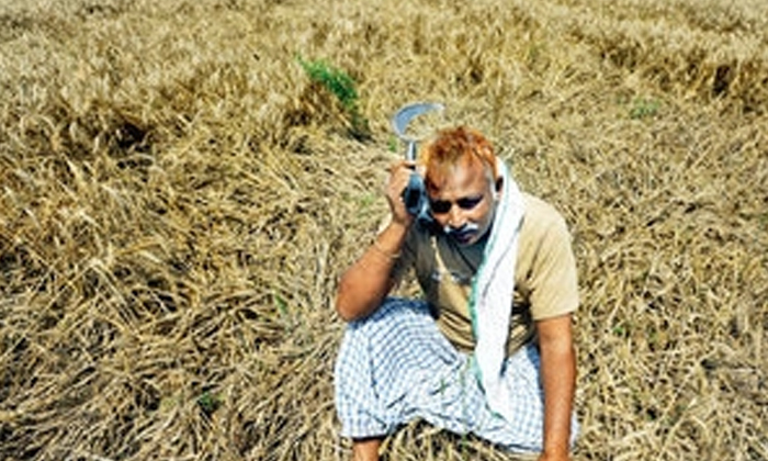  Governments Have Failed To Meet The Farmers' Problems , Lal Bahadur Shastri, Mis-TeluguStop.com