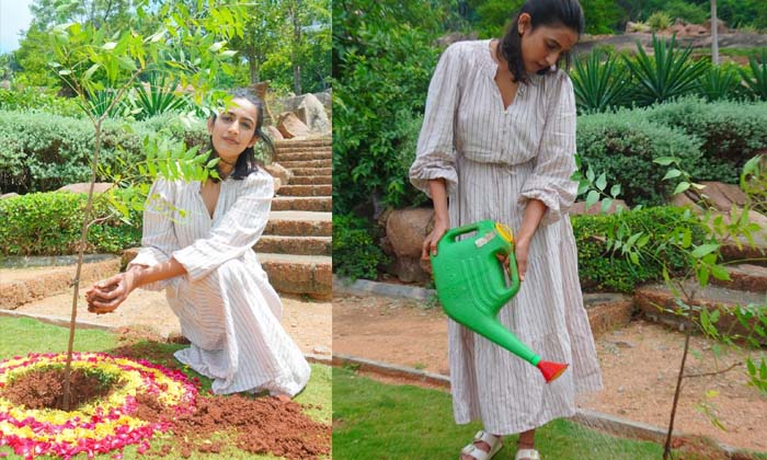  Niharika Konidala Planted Well In The Green India Challenge Undertaken By Mp San-TeluguStop.com