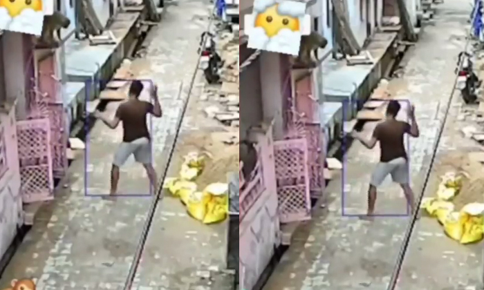  It's Not Just That The Monkey Killed The Young Man With One Punch , Monkey, Monk-TeluguStop.com