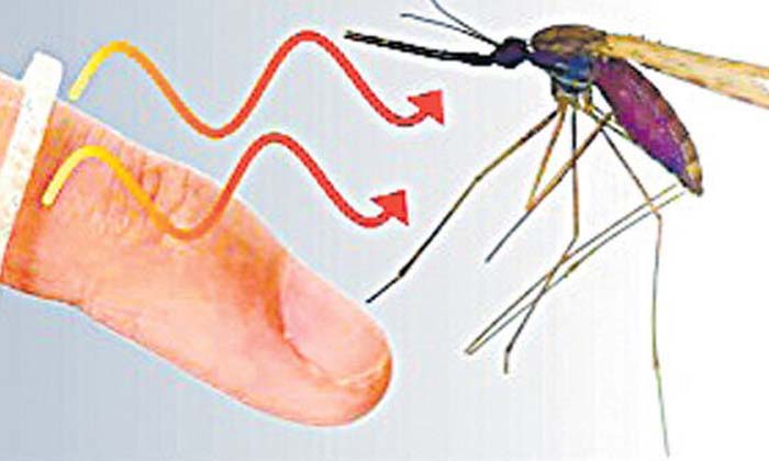  This Is The Mosquito Repellent Ring ,mosquito,going Out, Ring , Scientific, Vira-TeluguStop.com