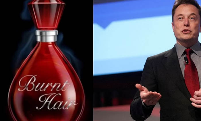  Elon Musk In The Perfume Business What Is The Price Of Each Bottle , Elon Musk,-TeluguStop.com