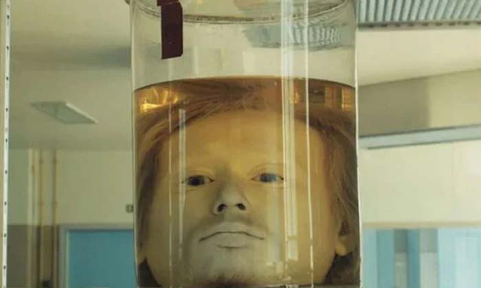  Shocking News Human Head Hidden In A Jar For 181 Years ,mans Head , Skull, Glass-TeluguStop.com