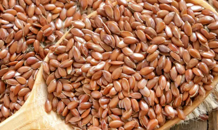 Telugu Ayurvedic, Chutneys, Flax Seeds, Tips, Soups, Yogurt-Telugu Health