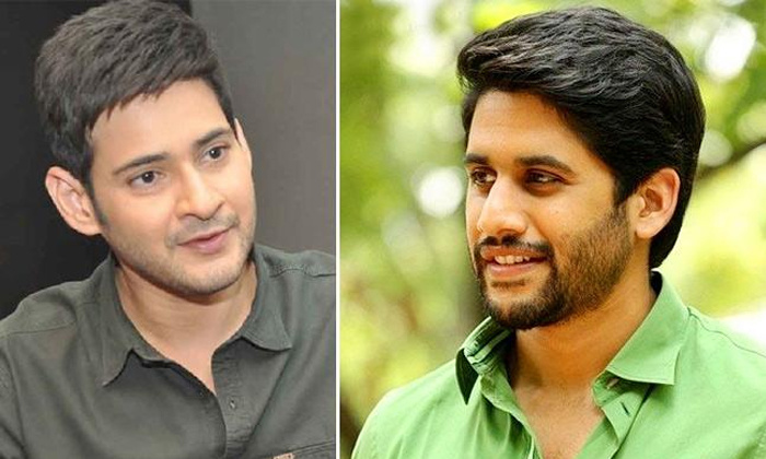  Tollywood Celebrities Living In Rented Houses Nagachaitanya Jagapati Babu Rajamo-TeluguStop.com