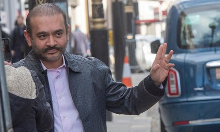  Uk High Court Reserves Judgment In Nirav Modi’s Extradition Appeal , Uk High C-TeluguStop.com