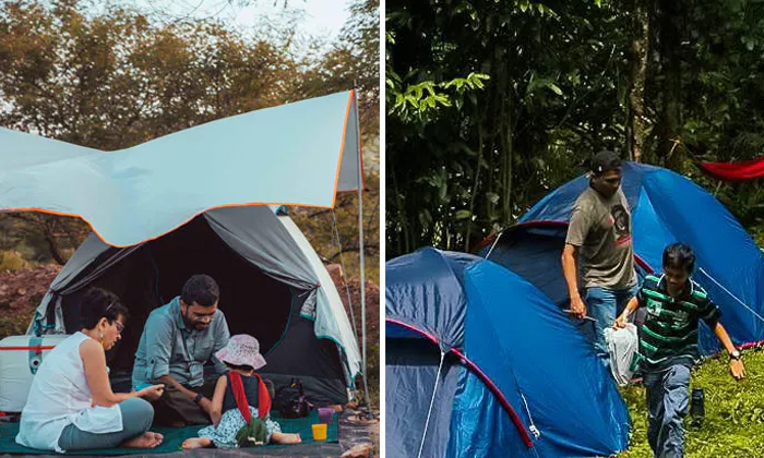 Telugu Farm-Latest News - Telugu Telugu Farm-Latest News - Telugu