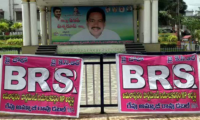  Cm Kcr Brs Party Banners In Andhra Pradesh Details, Kcr, Telangana, Trs, Brs, Br-TeluguStop.com