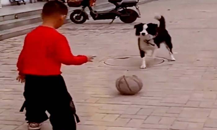  Boy Playing Football With Pet Dog ,dog, Viral Latest, News Viral, Latest News, F-TeluguStop.com
