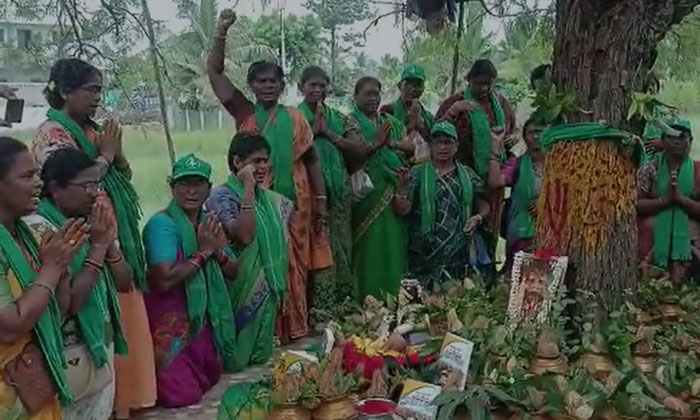  Amaravthi Women Formmers Pooja In Tadapalli Gudem , Amaravthi, Women Formmers ,-TeluguStop.com