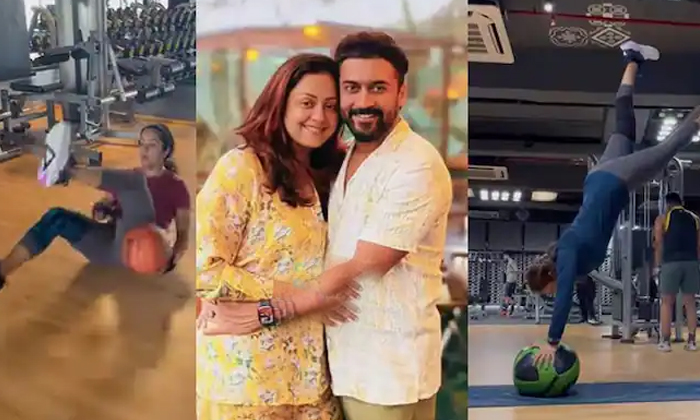  Actress Jyotika Gym Video Viral In Scoial Media , Kollywood, Jyothika, Surya, Gy-TeluguStop.com