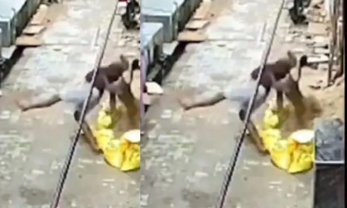  A Monkey Shocked A Man After Seeing A Monkey Throw A Stone At Him Video Viral ,-TeluguStop.com