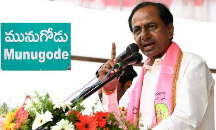  Harish Rao Has To Bear The Burden Of 'munugodu' Hareesh Rao, Trs, Kcr, Telangana-TeluguStop.com