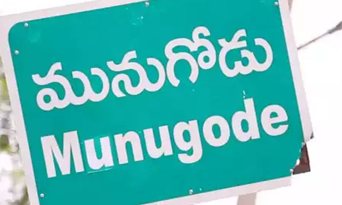  25000 New Voters In Two Months.. Where , 25000 New Voters, Munugodu , By-electio-TeluguStop.com