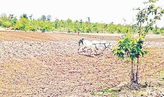  Controversy Of Fallow Land In Khammam Konizerla Mandal-TeluguStop.com