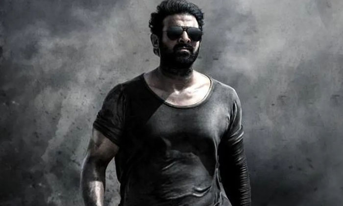  Prabhas Salar Movie Shooting Re Start Prabhas, Salar Movie, Shooting, Tollywood-TeluguStop.com