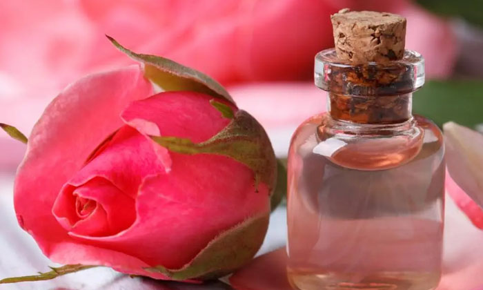 Telugu Attractive Skin, Tips, Skin, Remedy, Skin Care, Skin Care Tips-Telugu Hea Telugu Attractive Skin, Tips, Skin, Remedy, Skin Care, Skin Care Tips-Telugu Hea