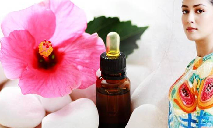  How To Use Hibiscus Flowers For White And Bright Skin? Hibiscus Flowers, Skin Wh-TeluguStop.com