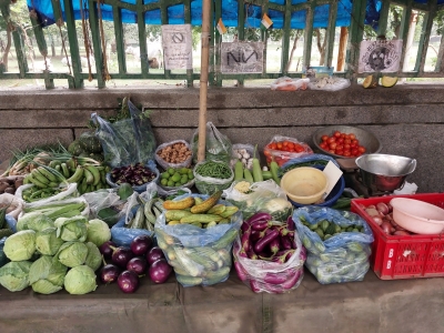  Skyrocketing Veggie, Fruit Prices Hit Common Man Hard-TeluguStop.com