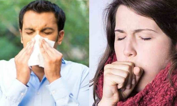 Telugu Tips, Herbal Tea, Herbaltea, Latest, Stress, Stress Tea-Telugu Health Tip