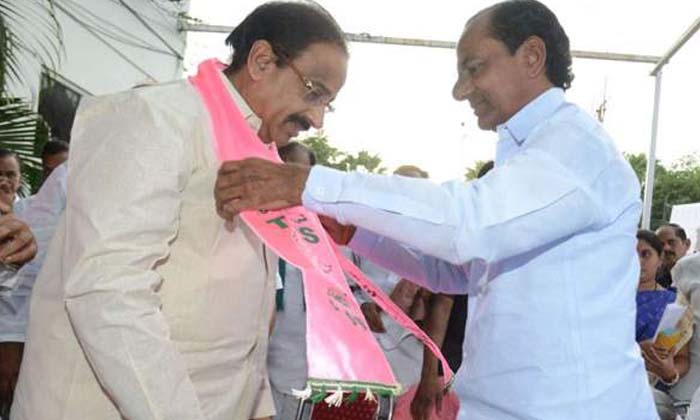  Tummala Nageswara Rao Back Into Tdp ,chandrababu, Cm Kcr, Khammam, Ntr, Telangan-TeluguStop.com