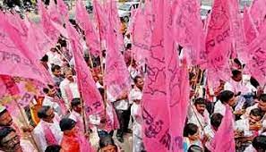  The Pink Army Prepared For The By-election Earlier-TeluguStop.com