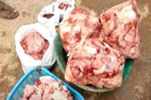  Rotten Meat In Nellore District Again-TeluguStop.com