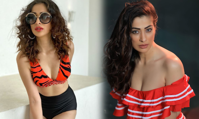 Actress Raai Laxmi Melts Our Heart With These Pictures-telugu Actress Photos Actress Raai Laxmi Melts Our Heart With The High Resolution Photo